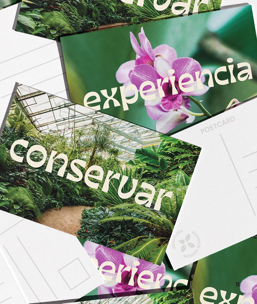 costaflora-casestudy11