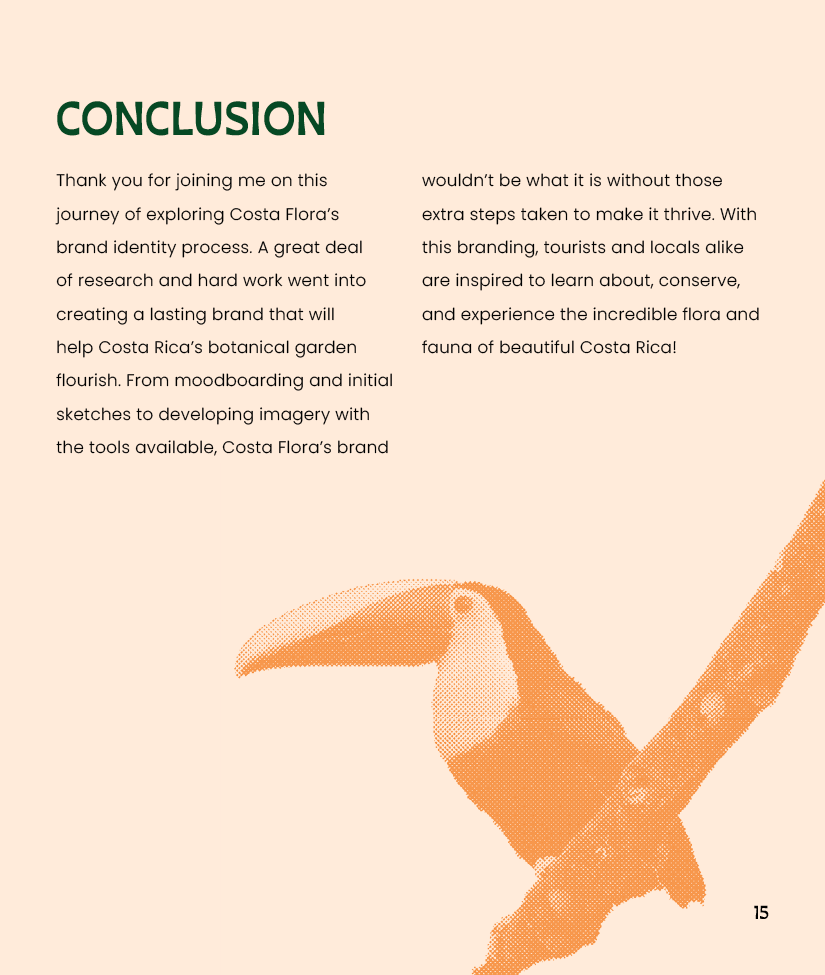 costaflora-casestudy15