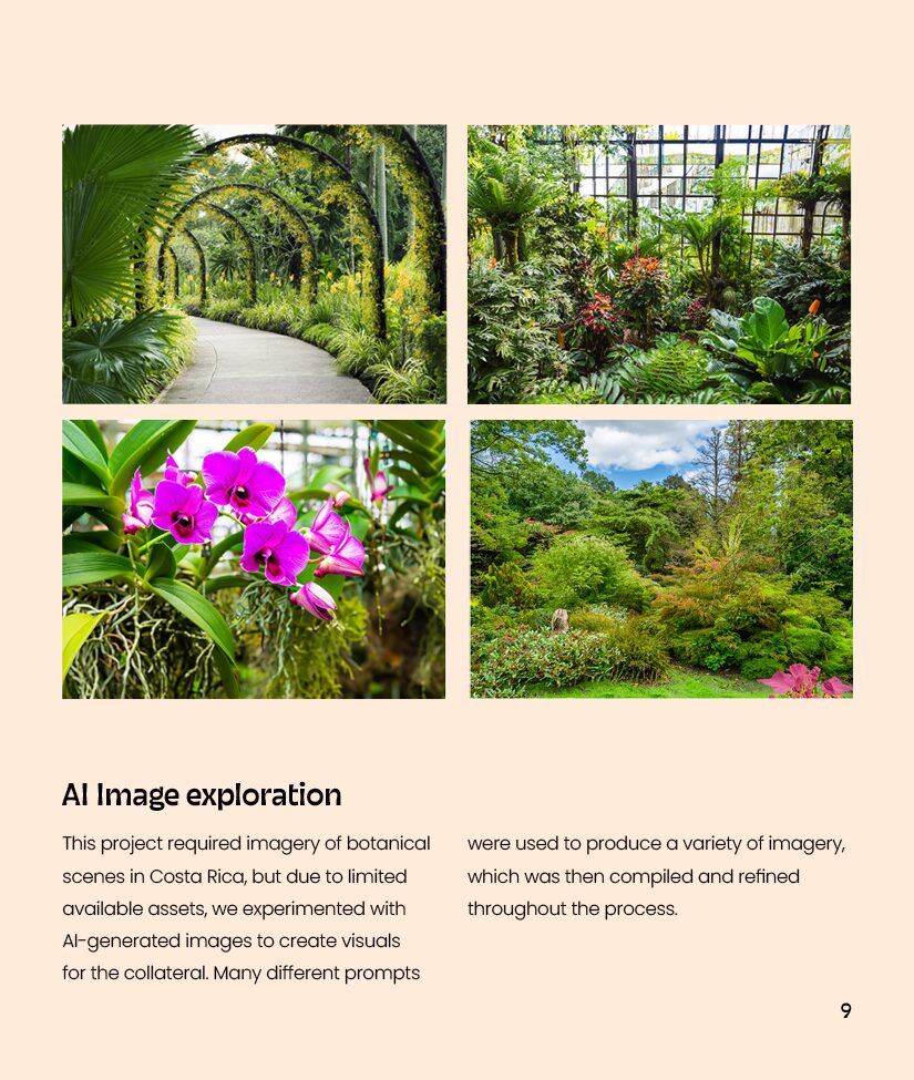 costaflora-casestudy9