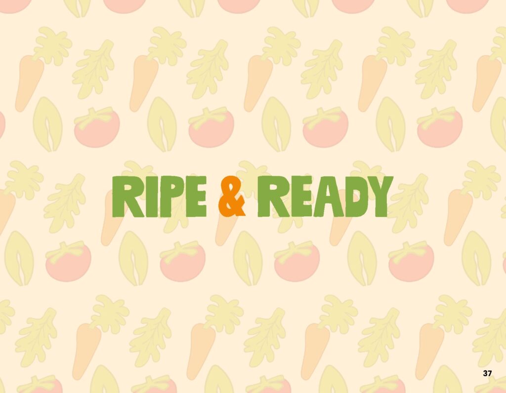 ramirez-ripe&ready-casestudy-final_Page_37